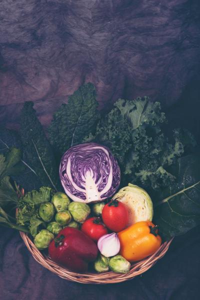 Mo's Grows Vegetables